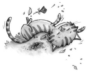 confessioni di un gatto killer