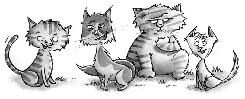 confessioni di un gatto killer
